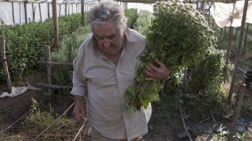 urugvaj predsjednik 2 urugvaj predsjednik 2