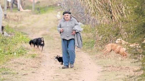 urugvaj predsjednik 3 urugvaj predsjednik 3