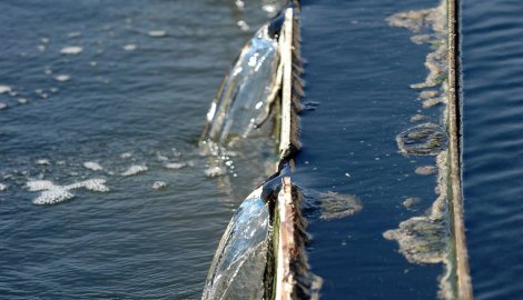 preči&scaron;ćavanje vode uljem