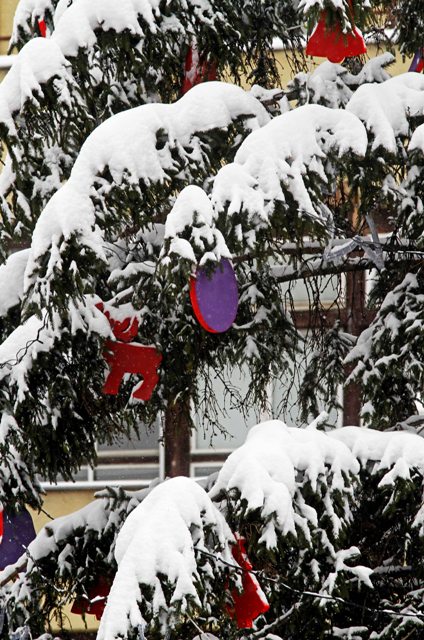 holiday market jelka