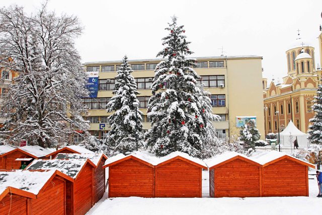 holiday market jelka holiday market jelka