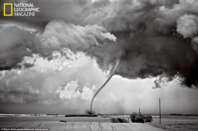 Najbolje fotografije po izboru National Geographica u 2012.