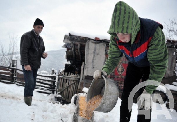 Sanid Ramović, đak-pješak u 21. stoljeću Sanid Ramović, đak-pješak u 21. stoljeću