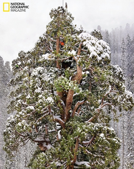 Najbolje fotografije po izboru National Geographica u 2012.