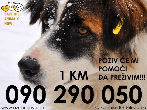 Akcija za pomoć životinjama