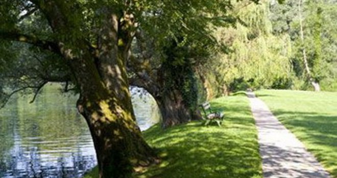 Jedini segment bh. društva koji bilježi uspjeh jer se u njega ne miješaju domaći političari...