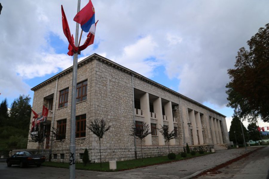 zastave-srbije-u-drvaru2