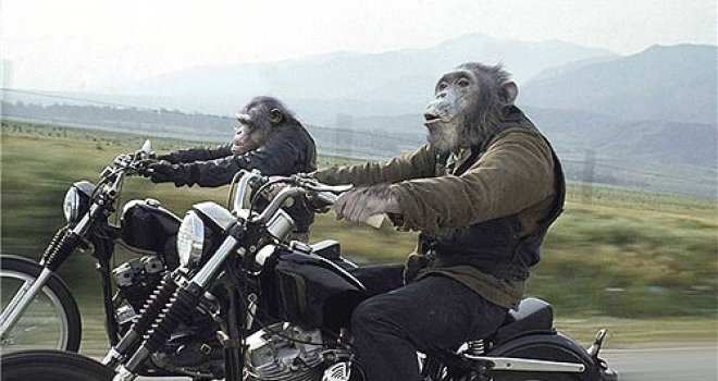 Ejub Topić: Darvinova teorija o nastanku čovjeka je manjkava i, kao ostatku komunizma, nije joj mjesto u školama?!?