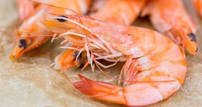 Pazite šta kupujete na Jadranu, posebno na akciji: 'Kada smo otvorili škampe, zgadilo nam se... Onda je uslijedio novi šok!'