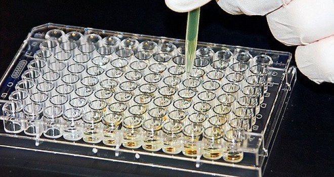 Istraživači otkrili prilično brz pad imuniteta nakon zaraze koronavirusom