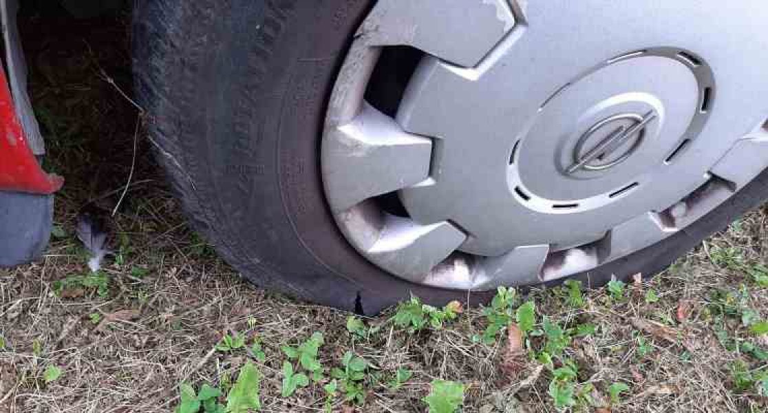 adil-boloban-probusene-gume