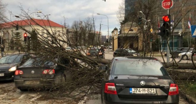 Jak vjetar napravio haos u Banjoj Luci: Drvo palo na vozila dok je stajalo na semaforu