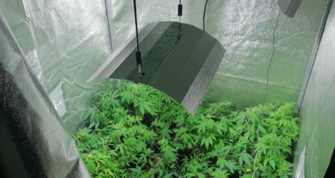 U sarajevskom naselju Hrasno pronađena laboratorija za uzgoj marihuane