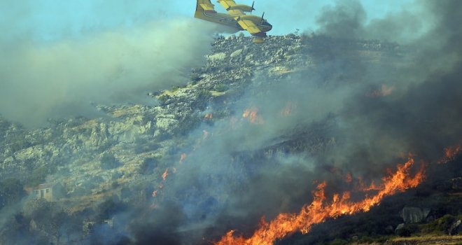 Strahoviti požar u Dalmaciji guta sve pred sobom: Izgorjela kamp kućica, mladi maslinjaci, avioni otkazuju polijetanje...  