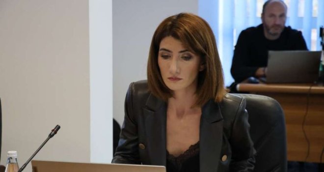 Ćudić: Izborni zakon HDZ-a je slamka spasa za Milorada Dodika, sve je u Čovićevim rukama