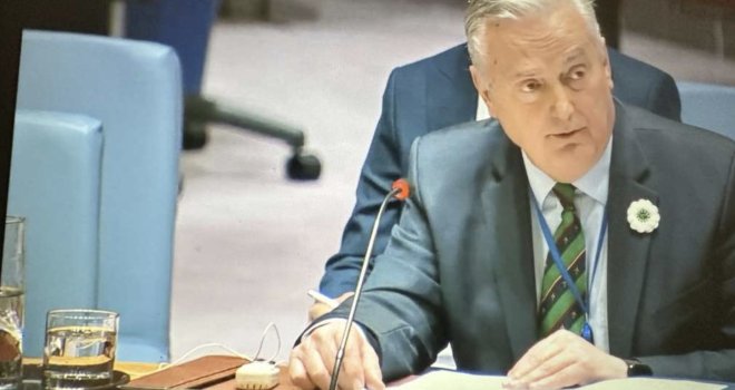 Lagumdžija pred UN-om optužio Srbiju da čuva ratne zločince: 'Nema uporišta za prijevremeno puštanje Ratka Mladića'
