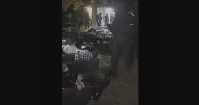 Pogledajte snimak munjevitog hapšenja u BiH: Spriječena ilegalna borba pasa, na borilištima pronađeni i leševi