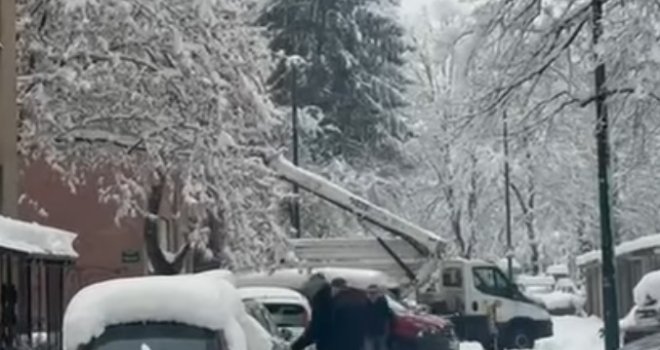 Oglasili se iz KJKP Park i objavili općinske propise: U Novom Sarajevu odobrenje za sječu stabala daje načelnik