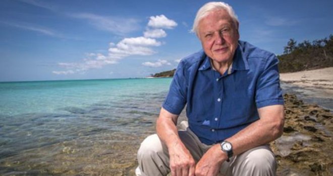 Sir David Attenborough: Lice koje ćemo uvijek vezivati za dokumentarce o prirodi