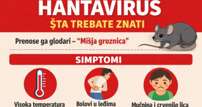 Hantavirus: Evo šta sve trebate znati i kako se zaštititi