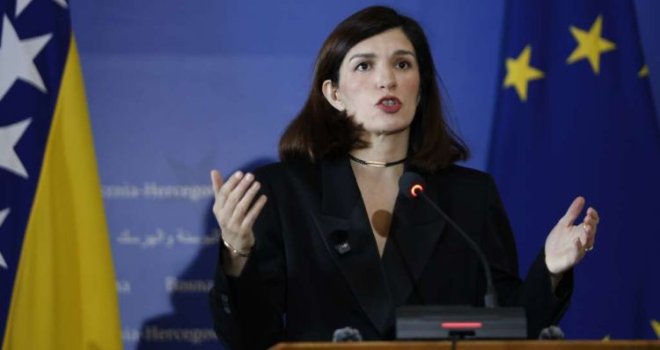 Ćudić: 'Moramo zaustaviti maligni vanjski uticaj i uvoditi evropske standarde'