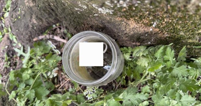 Strava na Grbavici: Radnici KJKP Park pronašli ručnu bombu u staklenki na travnjaku