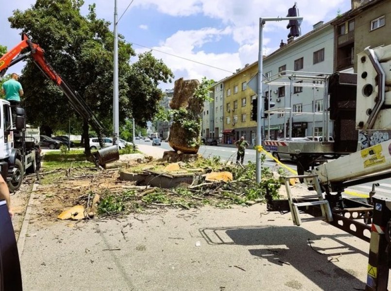 sjeca-stabla-zagrebacka-ulica-foto-z-b